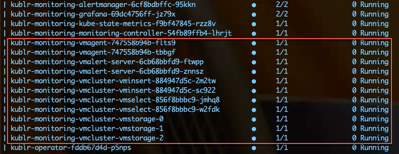 VictoriaMetrics cluster pods